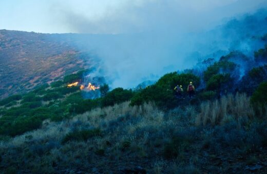 Intervento dei Vigili del fuoco per incendi a Palermo
