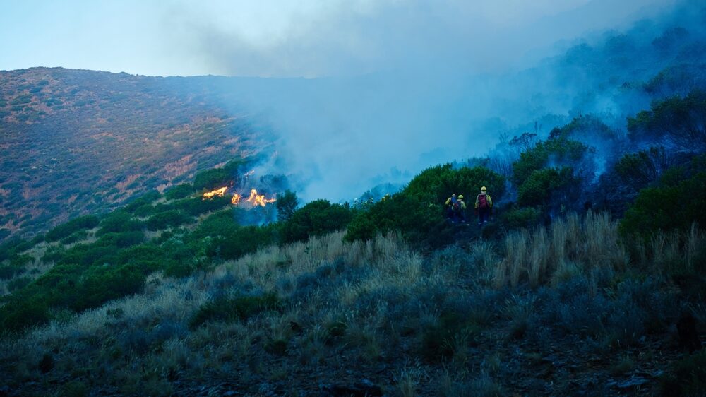 Intervento dei Vigili del fuoco per incendi a Palermo