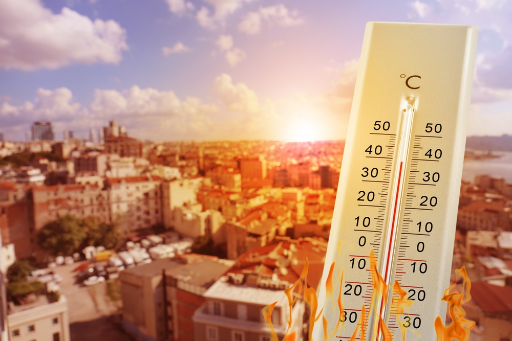Riforestazione urbana per ridurre le temperature