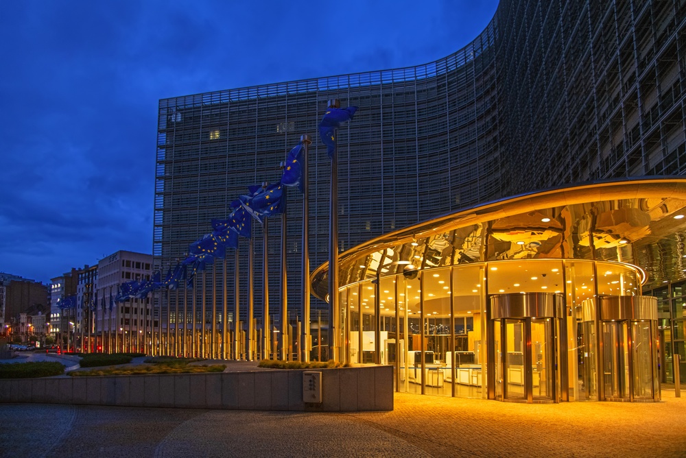 Commissione Ue e accesso dei giovani alle reti sociali