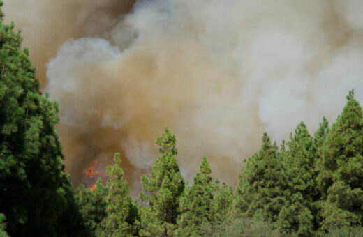 Incendi in Gironda, Francia